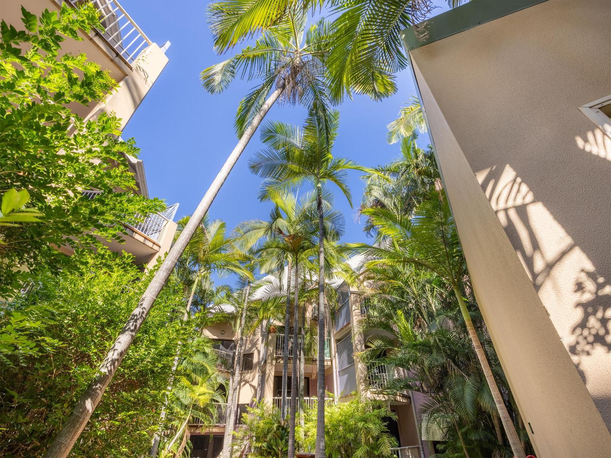 בריסביין Spring Hill Gardens Apartments מראה חיצוני תמונה